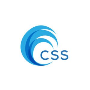 CSS 3